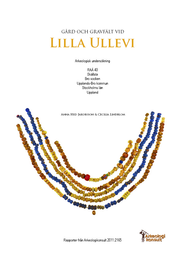Lilla Ullevi rapportomslag