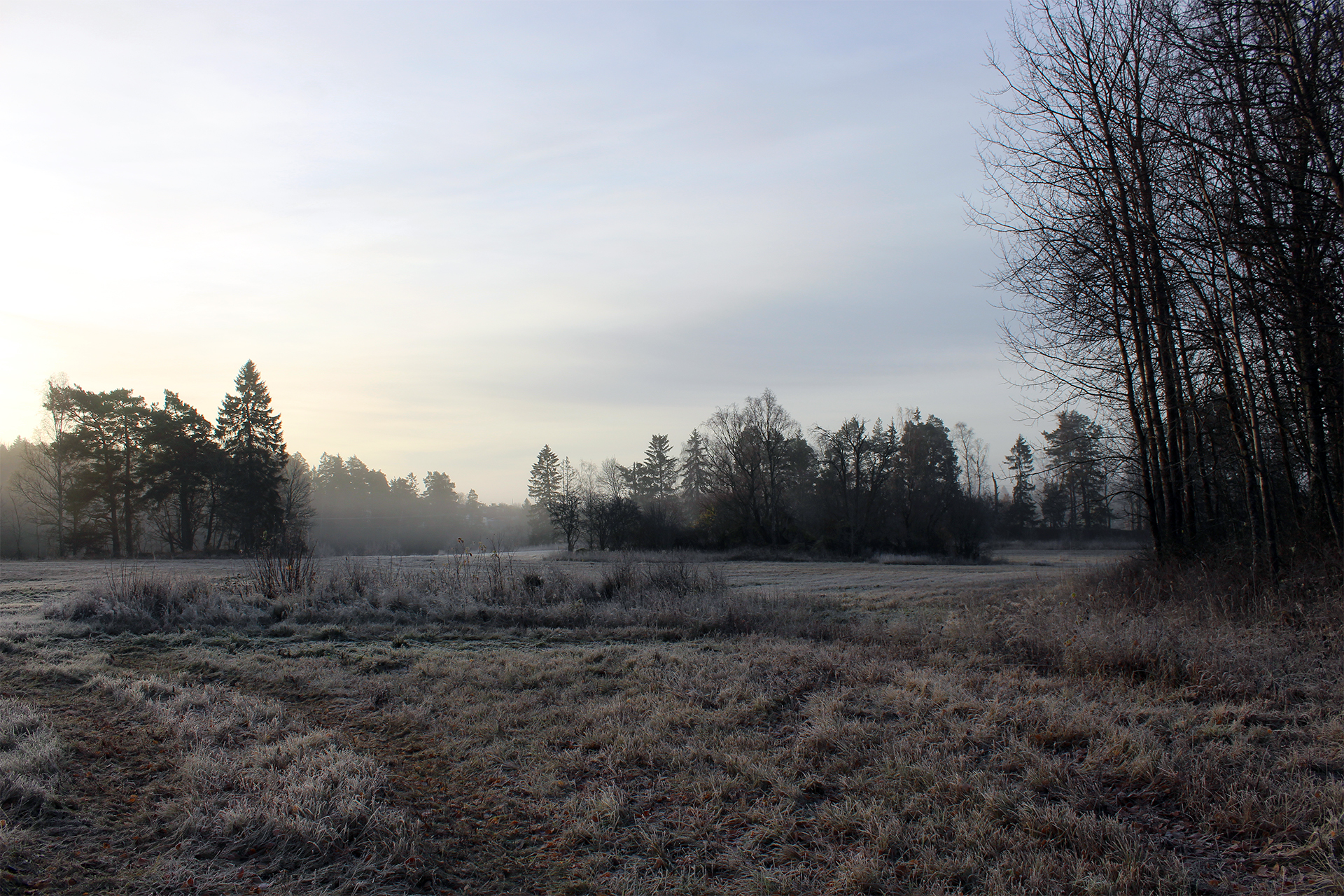 Boplats Viks gamla by Upplands Väsby Arkeologi Arkeologikonsult